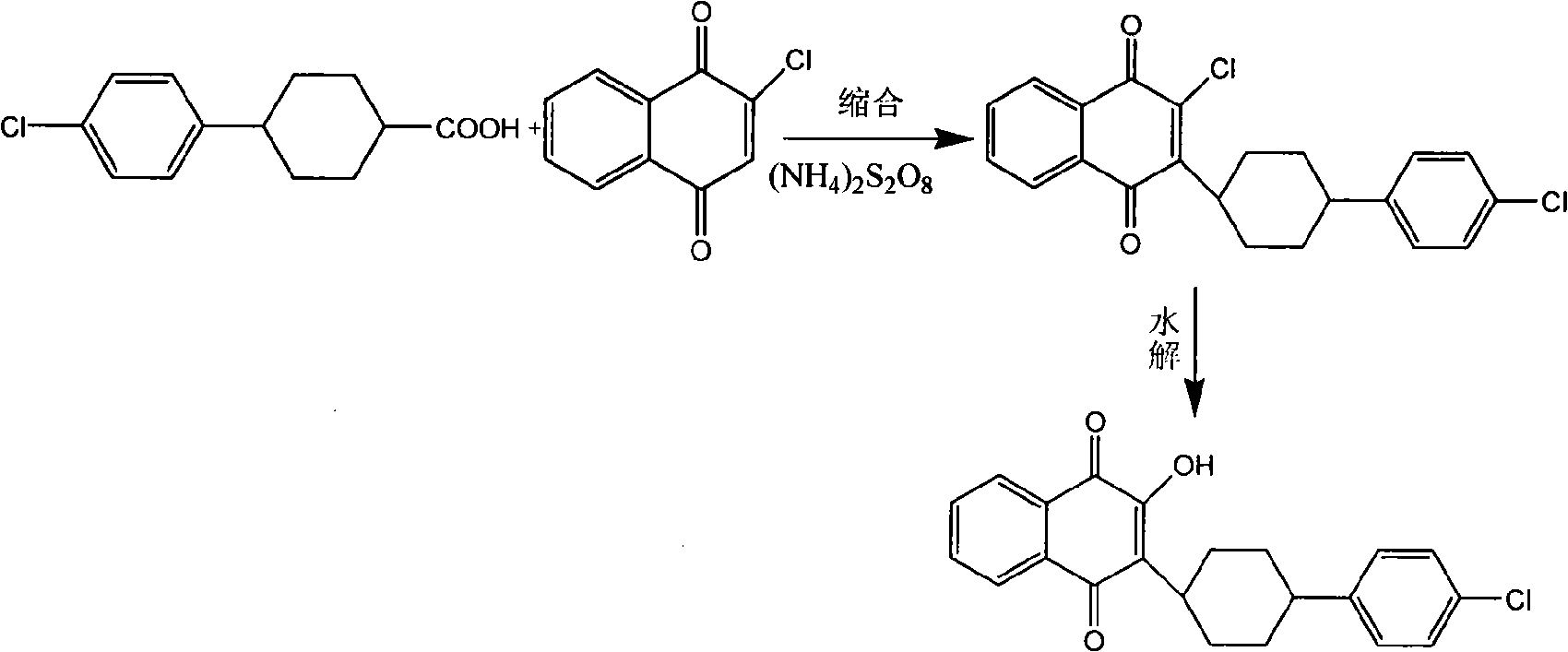 Technique for synthesizing atovaquone