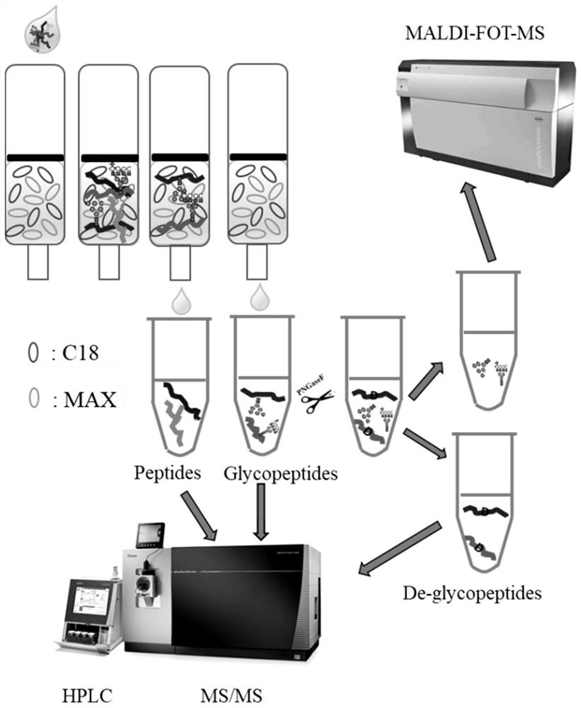 A rapid method for analyzing proteins and highly polar long amino acid sequence glycopeptides