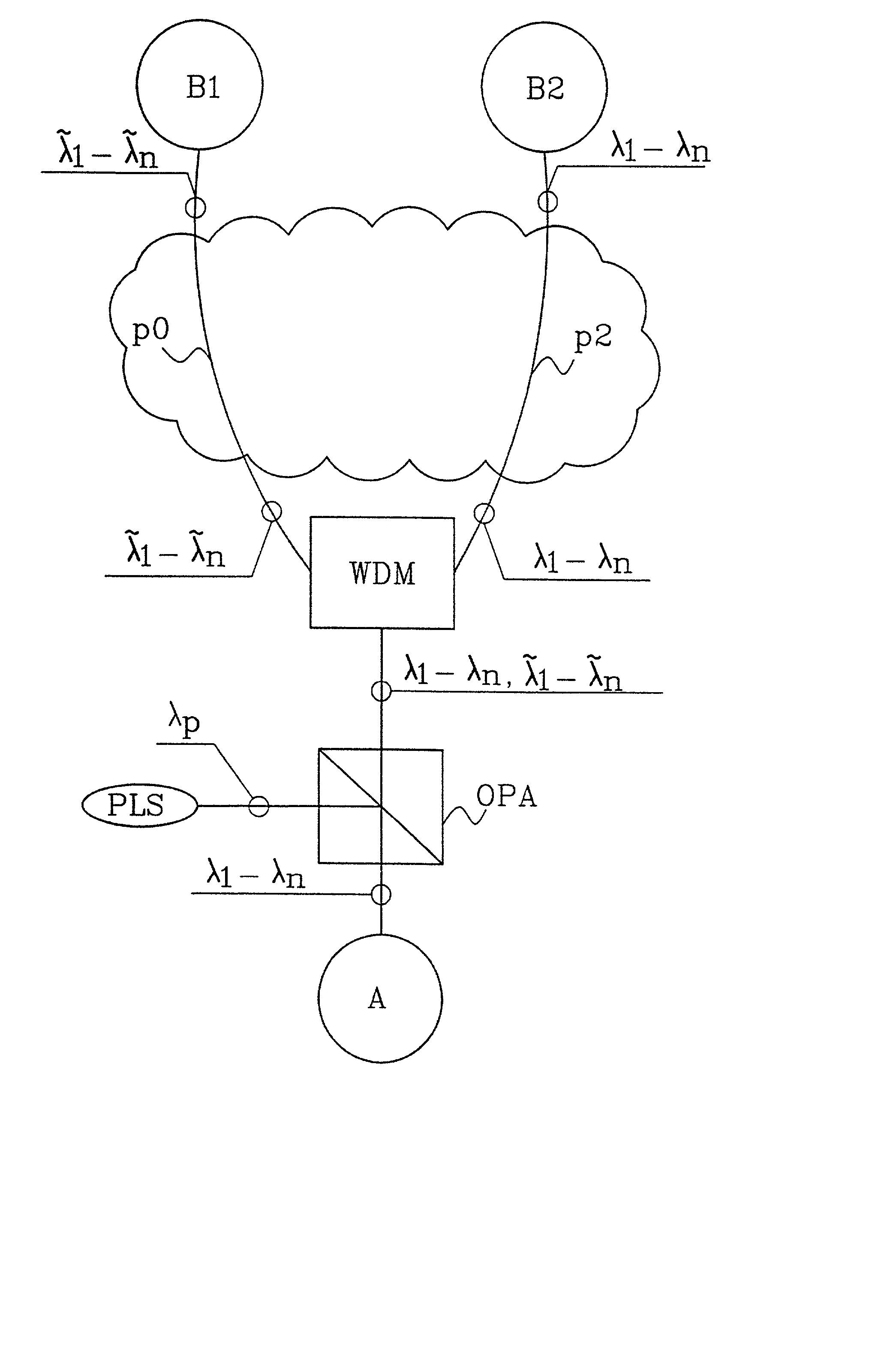 Use of OPA for switching and routing in WDM networks