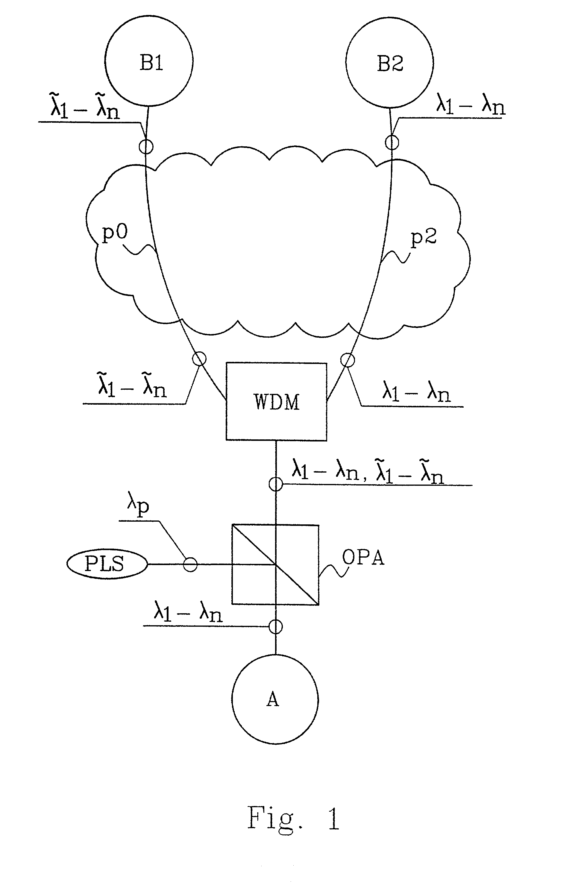 Use of OPA for switching and routing in WDM networks