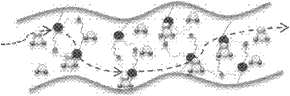 Preparation method of amphoteric functional PEEK (polyetheretherketone) ion exchange membrane