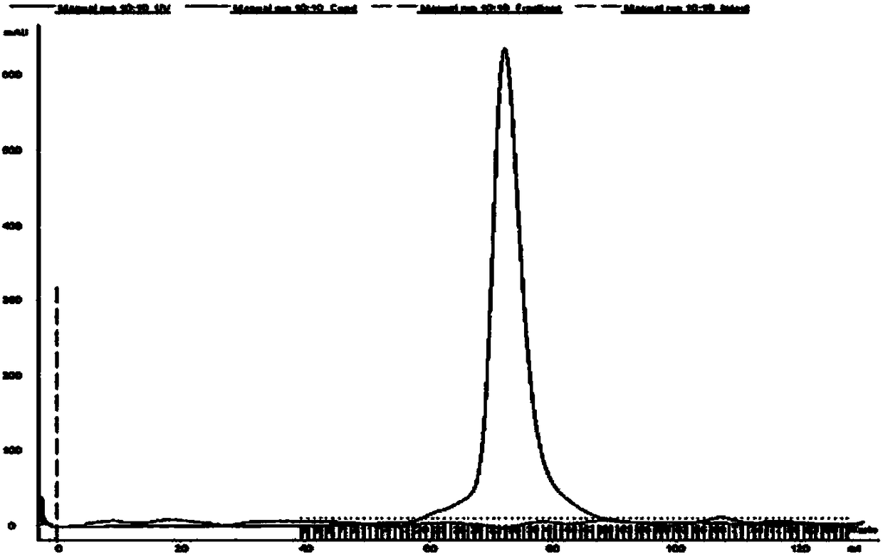 IgG binding epitope of major soybean allergen gly m Bd 28K