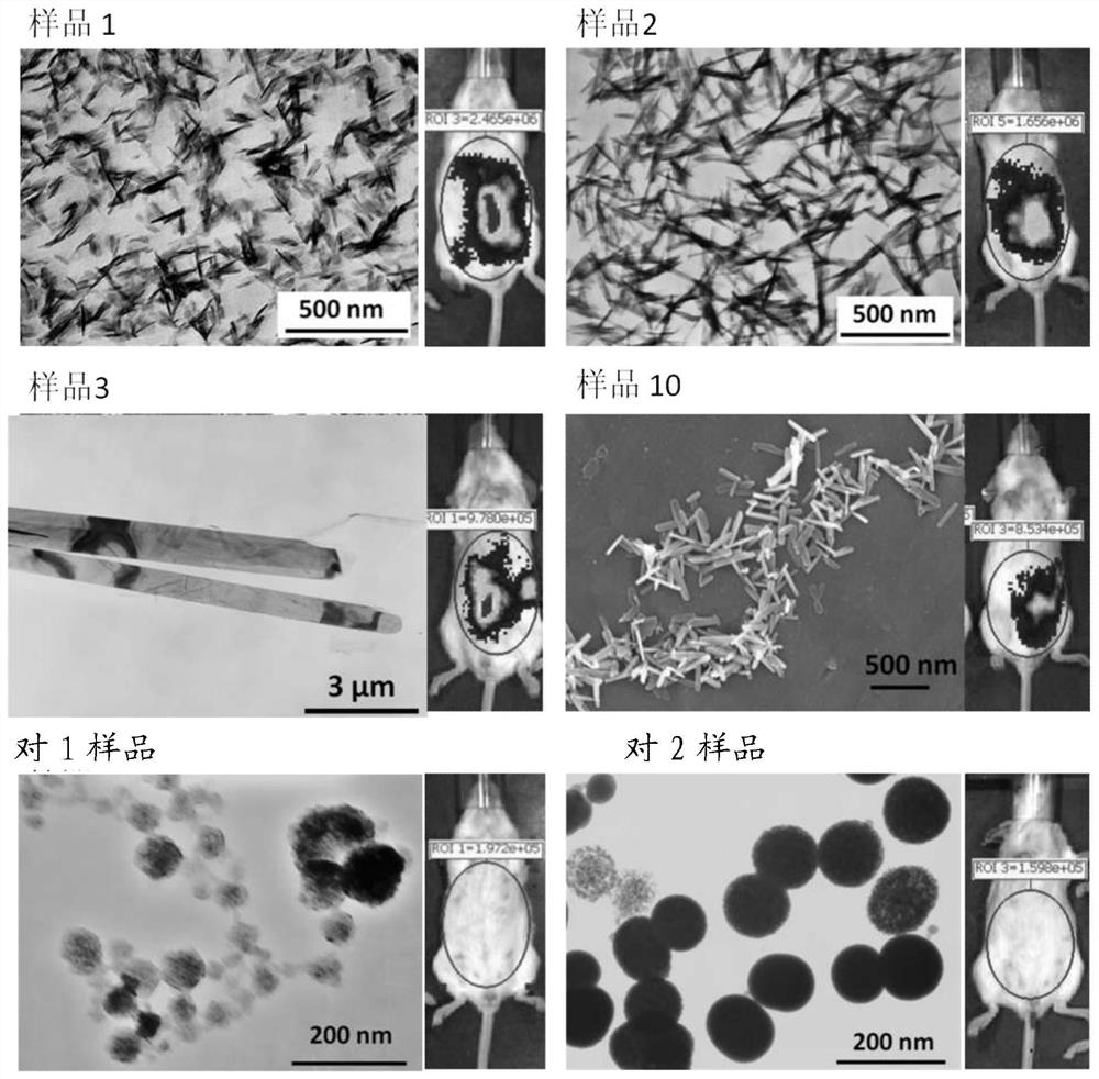 One-dimensional calcium phosphate nano/micro material and its preparation method and application