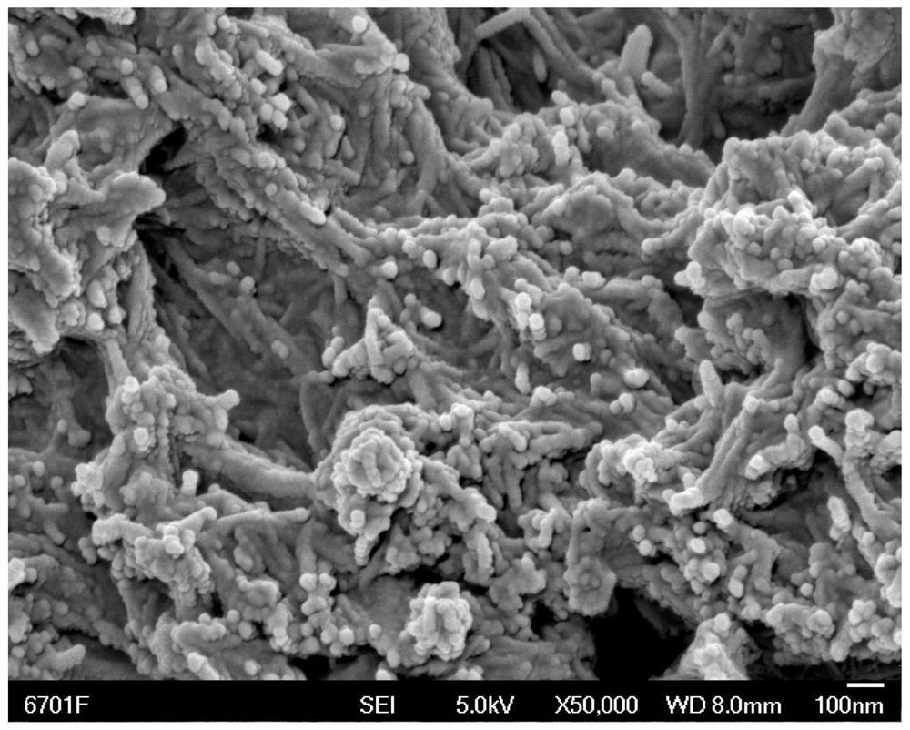 A chromium-doped titanium dioxide nanotube-amino-modified graphene oxide composite material and its preparation method and application