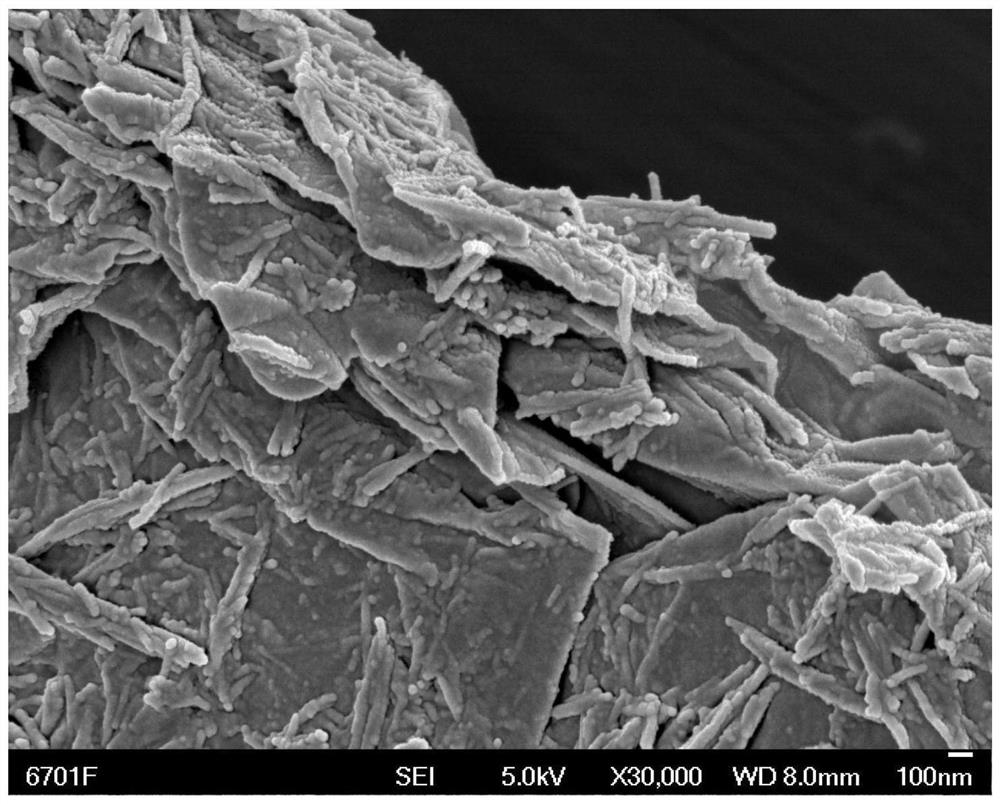 A chromium-doped titanium dioxide nanotube-amino-modified graphene oxide composite material and its preparation method and application
