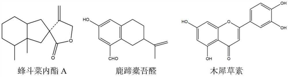 A kind of fat-soluble extract of Ligularia sativa and its preparation method and application