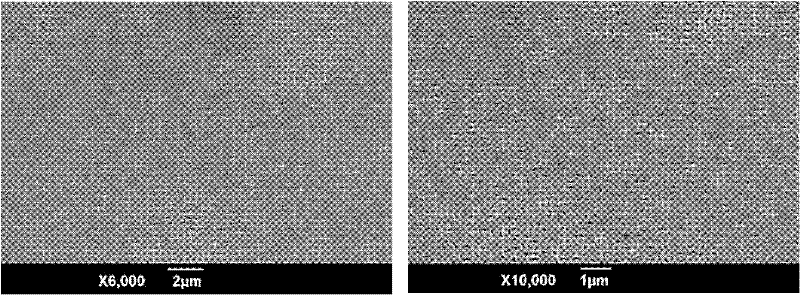 Method for preparing porous bismuth ferrate thin film by CSD (Chemical Solution Deposition) method
