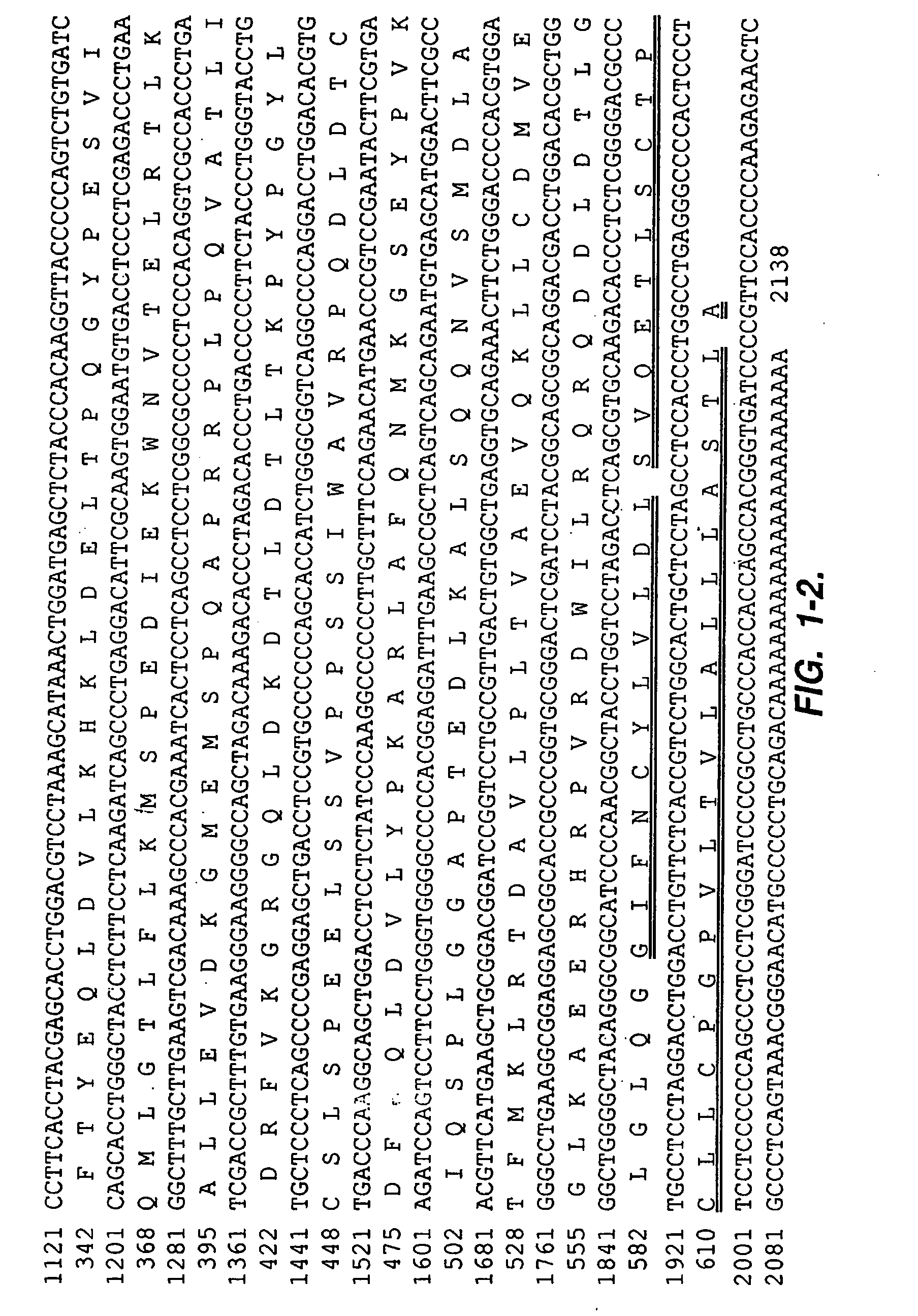 Mesothelin, A Differentiation Antigen Present On Mesothelium, Mesotheliomas, and Ovarian Cancers and Methods and Kits for Targeting the Antigen