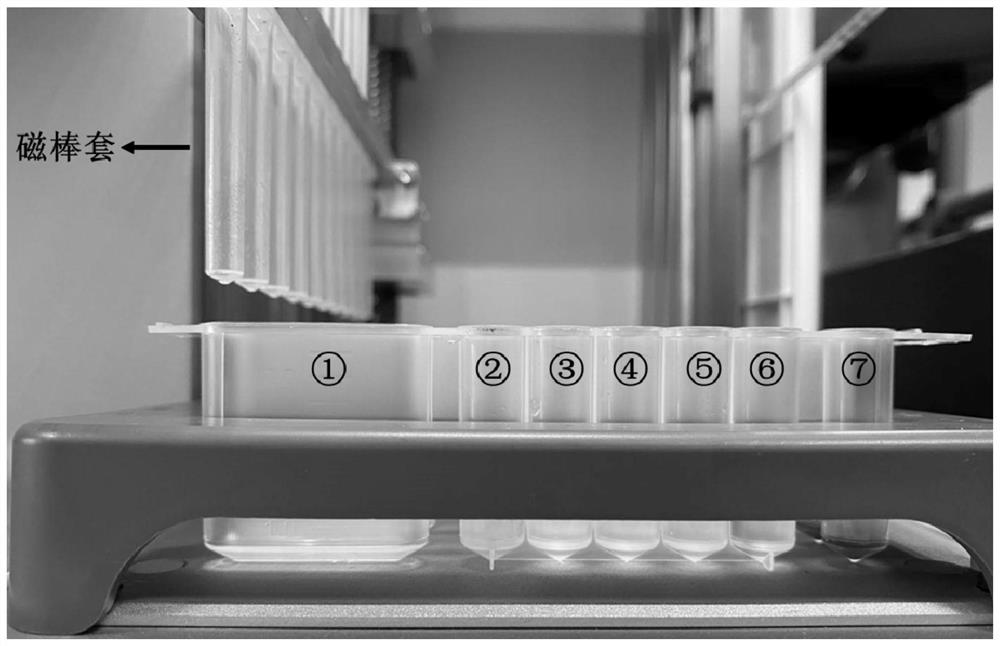 Kit for purification pretreatment of mycotoxins in grains and/or grain and oil and use method of kit