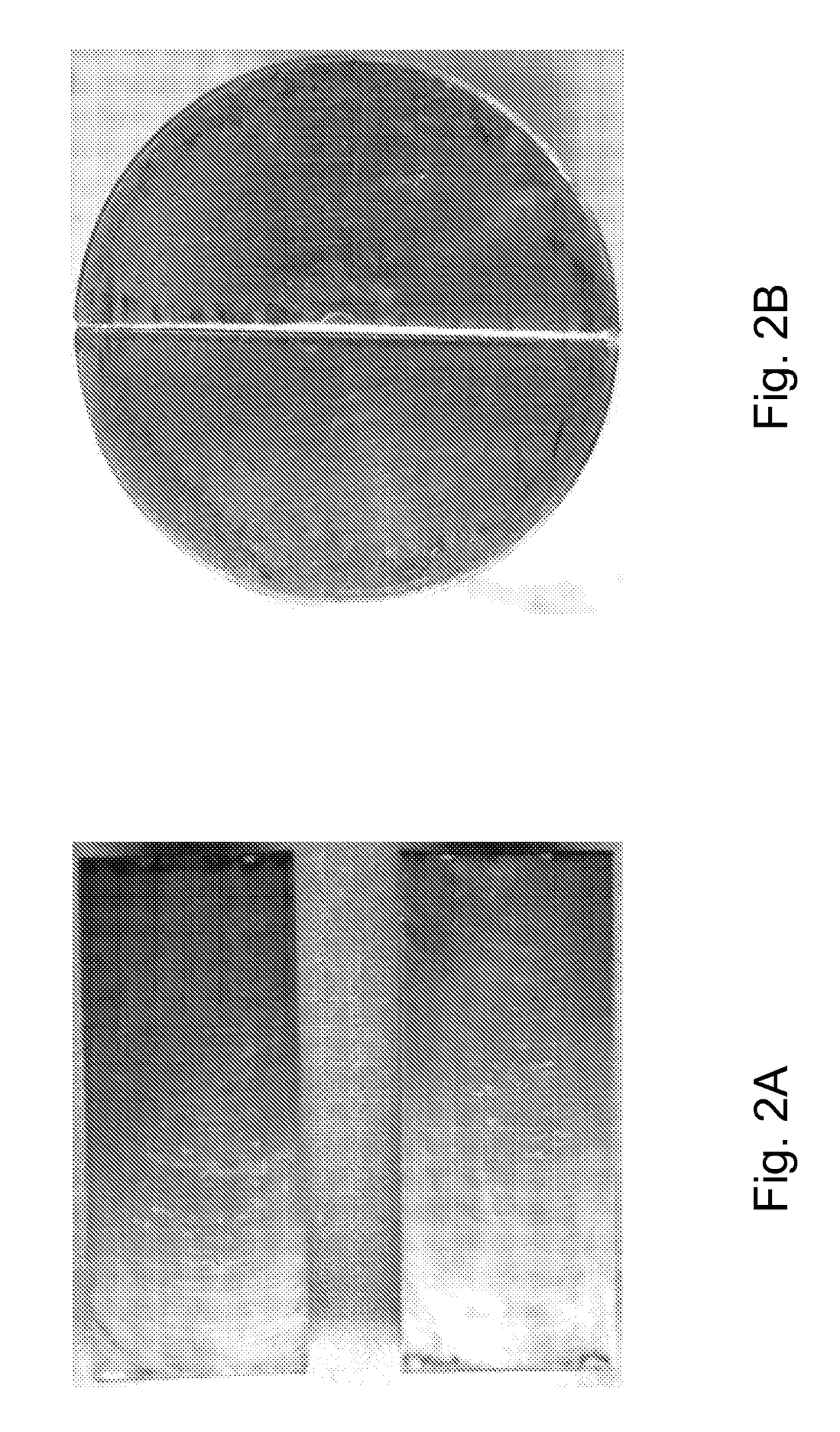 Methods for enhancing propped fracture conductivity