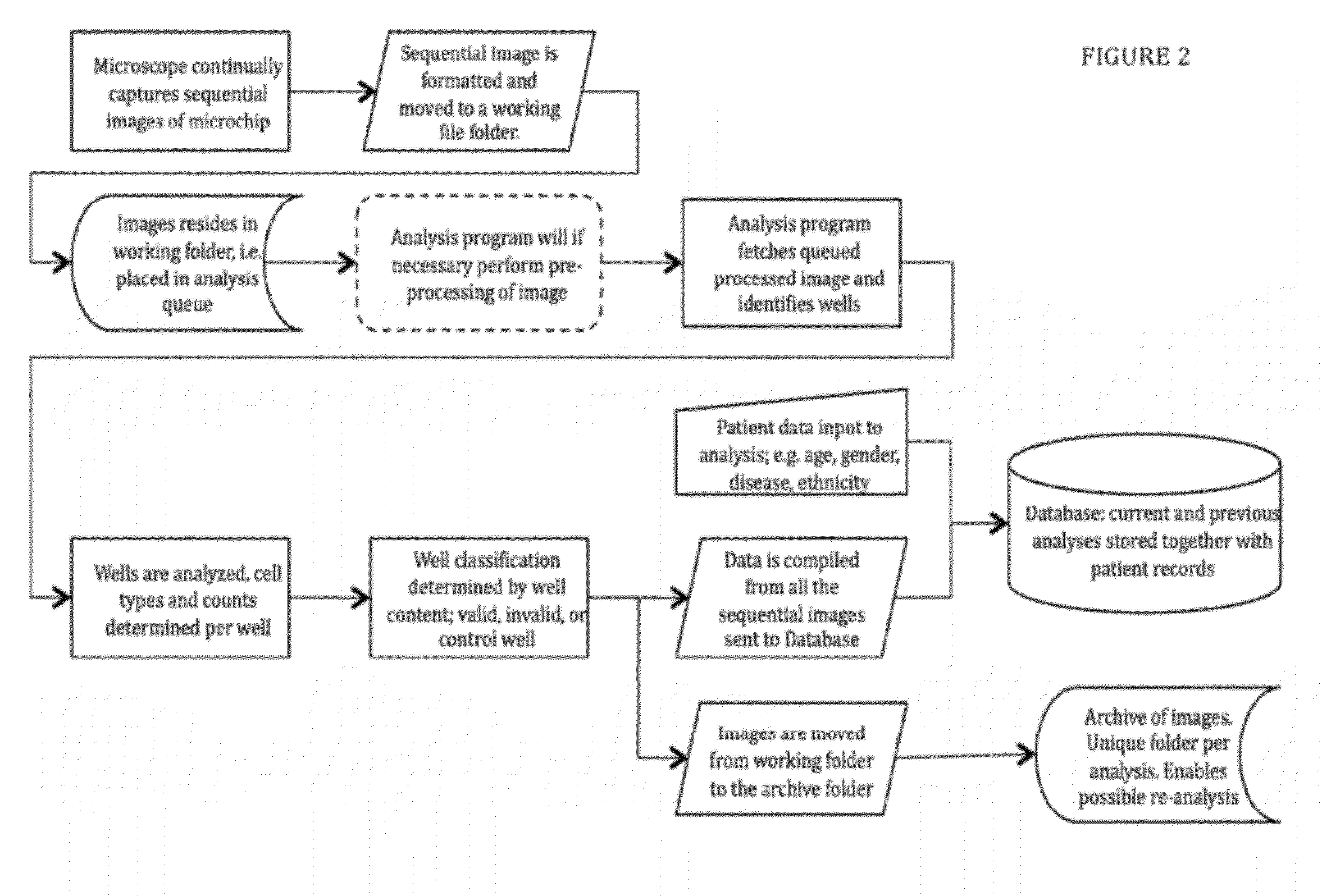 System and Method for Detecting and Quantifying Active T-cells or Natural Killer Cells