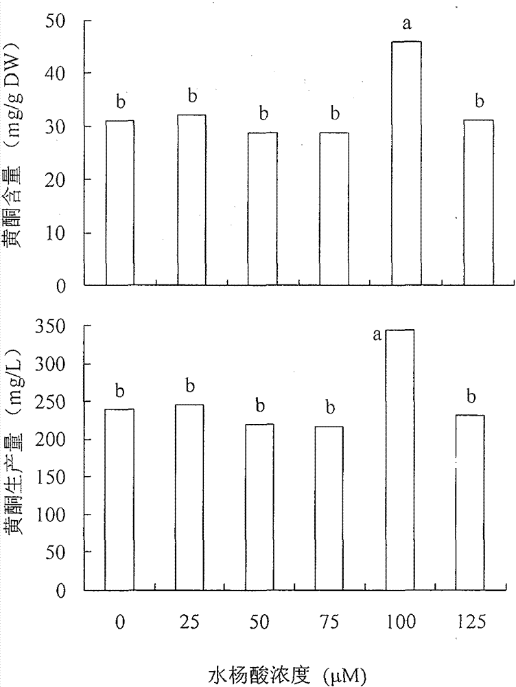 A method for cultivating active substances in adventitious roots of Northeast thorns by using elicitors to increase reactor