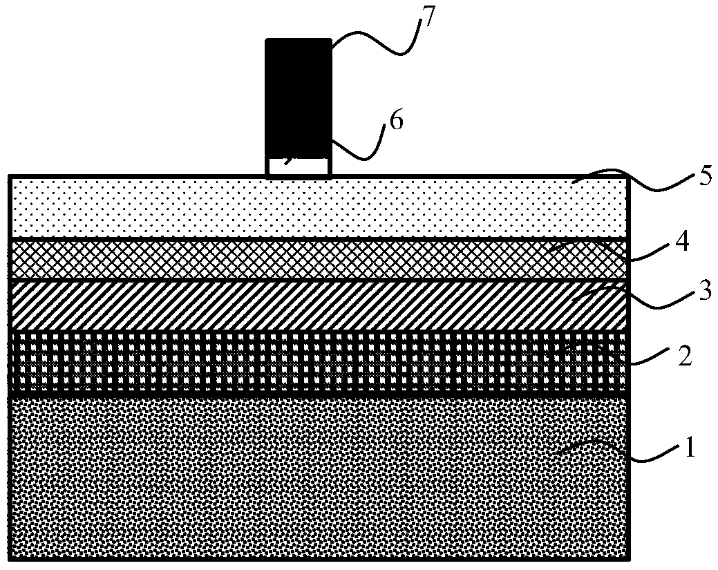 Transmission electron microscope sample and method for producing same