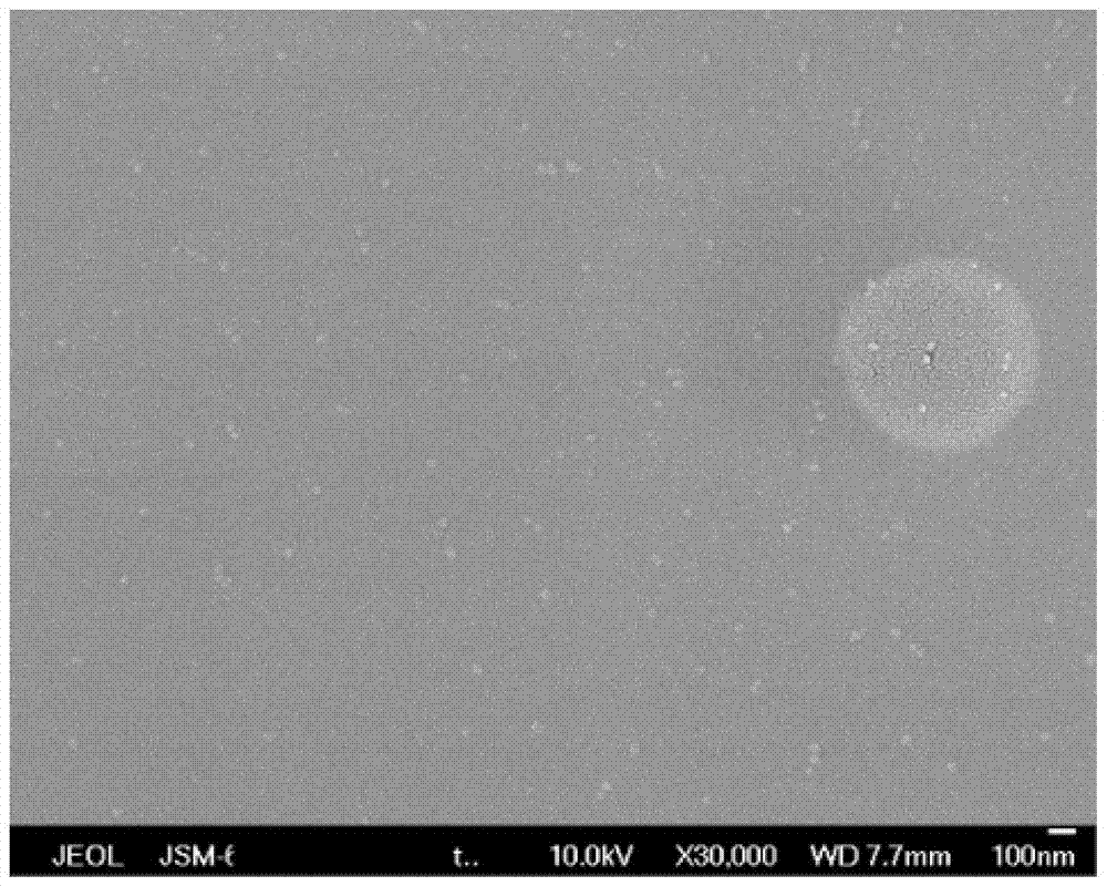 Acrylated hyaluronic acid hydrogel loaded with nanomedicine and preparation method thereof