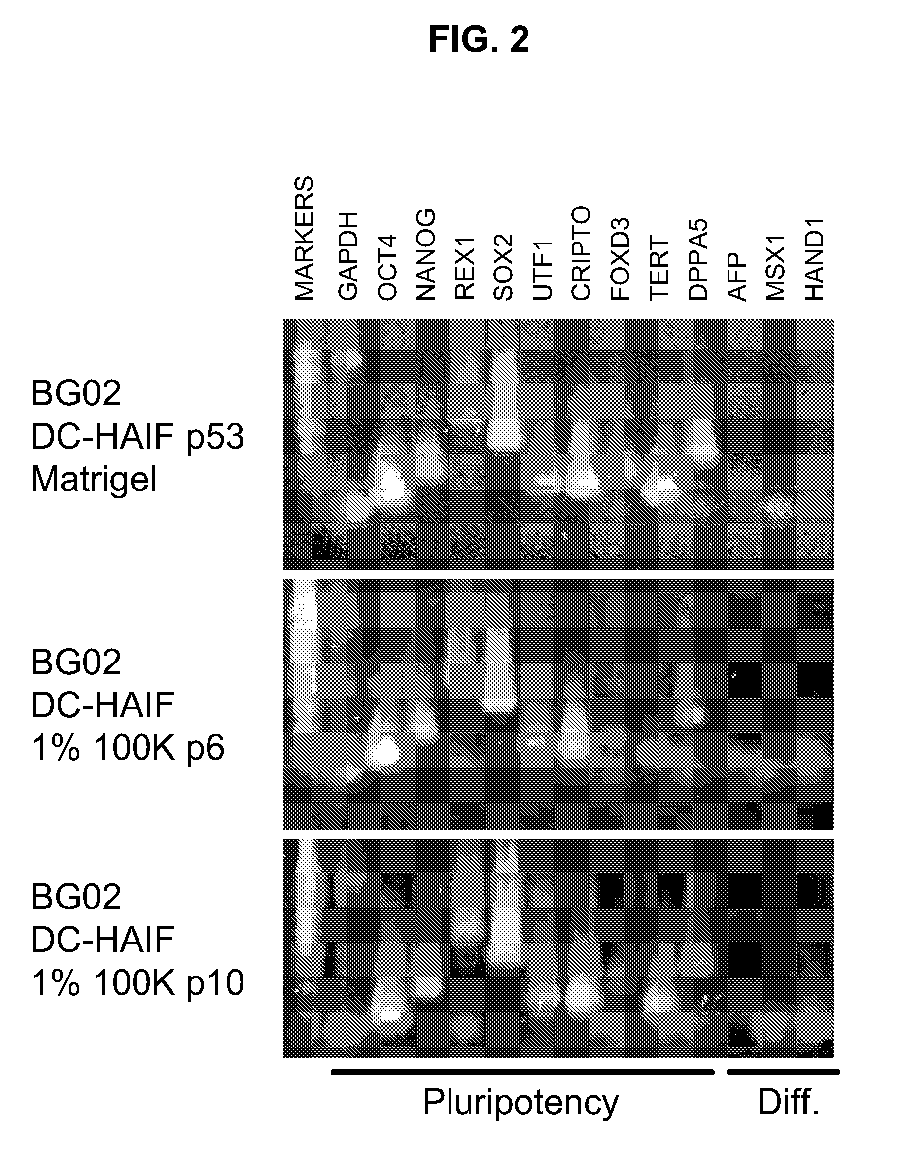 Methods and Compositions for Feeder-Free Pluripotent Stem Cell Media Containing Human Serum