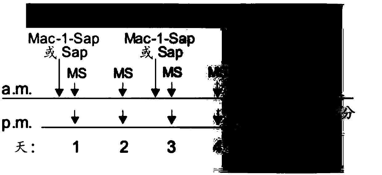 Methods and compositions for modulating opioid withdrawal symptoms