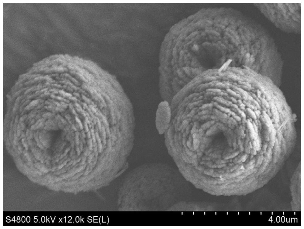 A kind of preparation method of layered structure microsphere precipitated calcium carbonate
