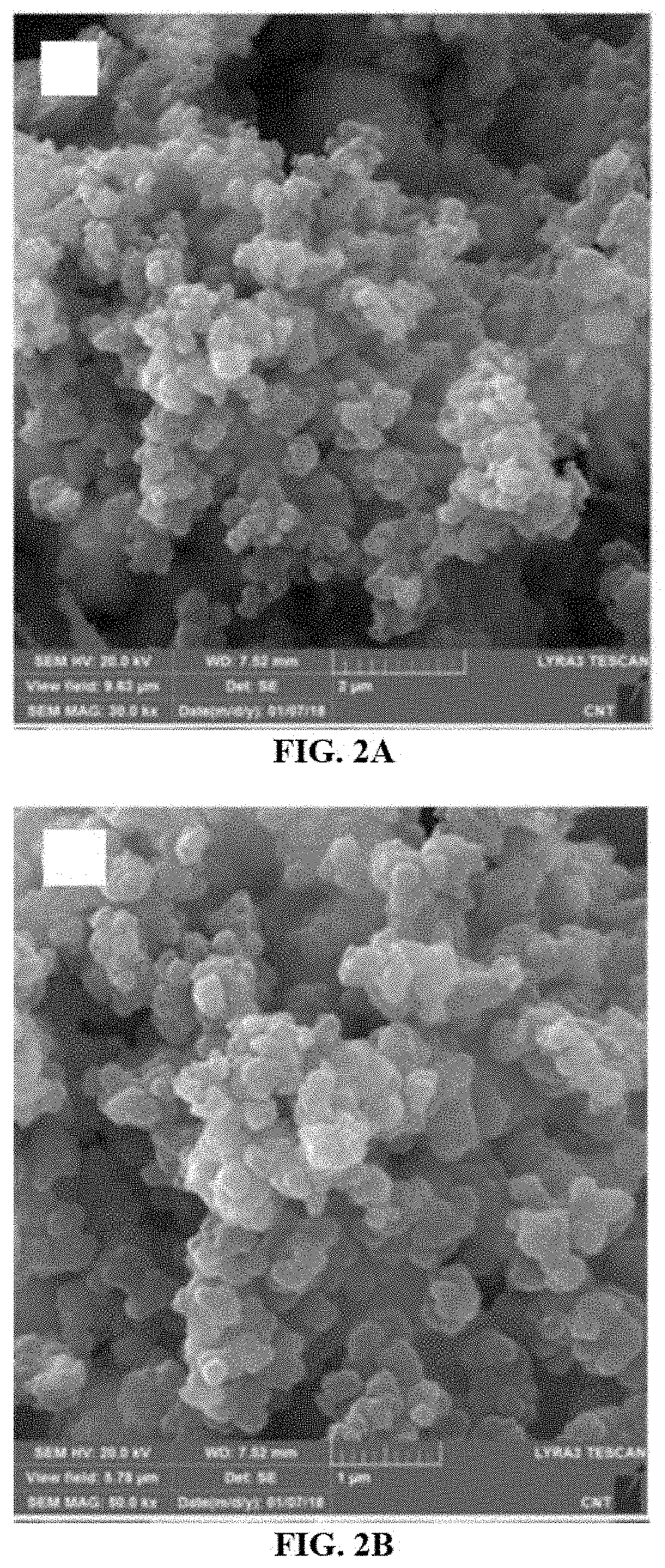 Polypyrrole-coated silver particles for surface enhanced Raman scattering