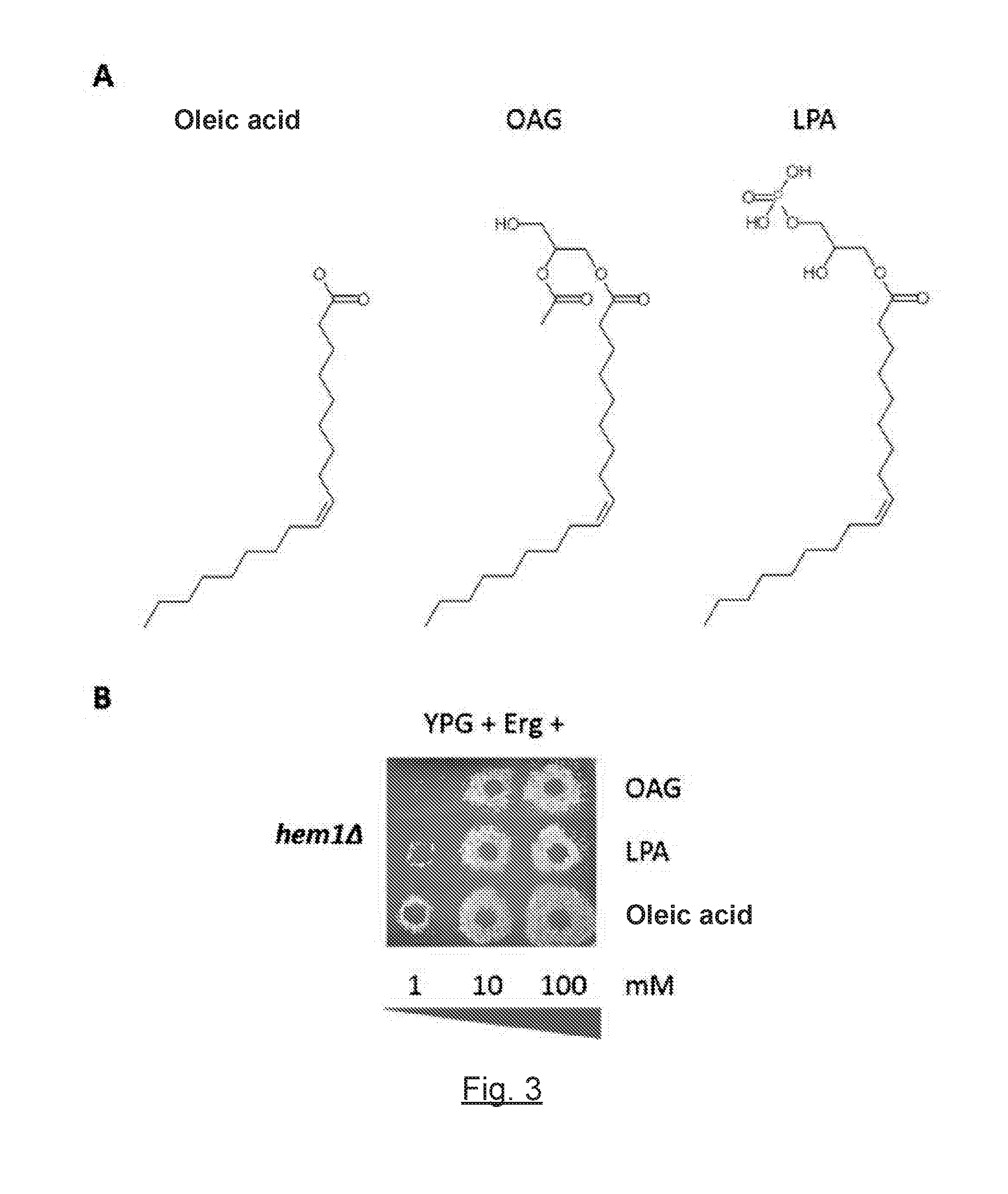 Compounds, compositions and corresponding uses for preventing and/or treating of dyslipidemia