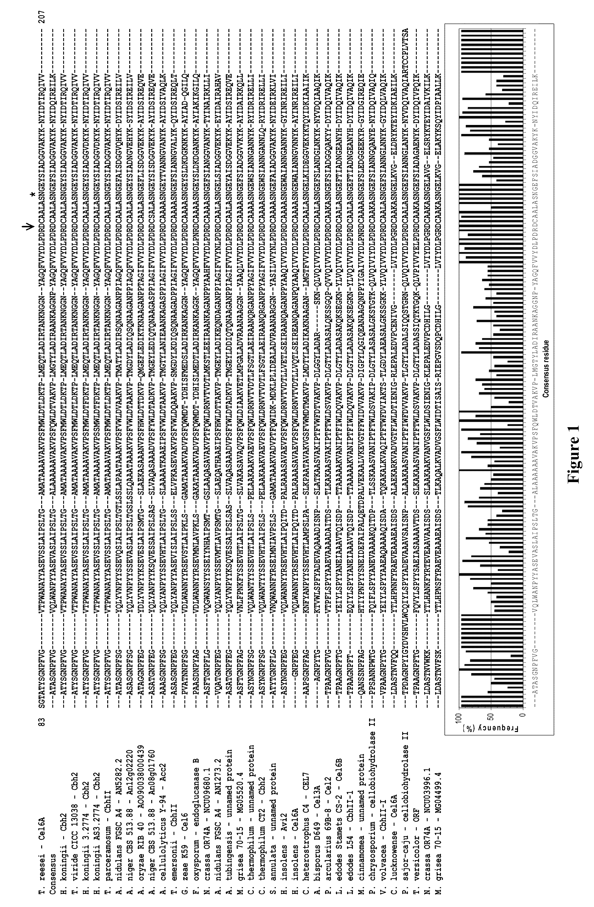 Modified family 6 glycosidases with altered substrate specificity