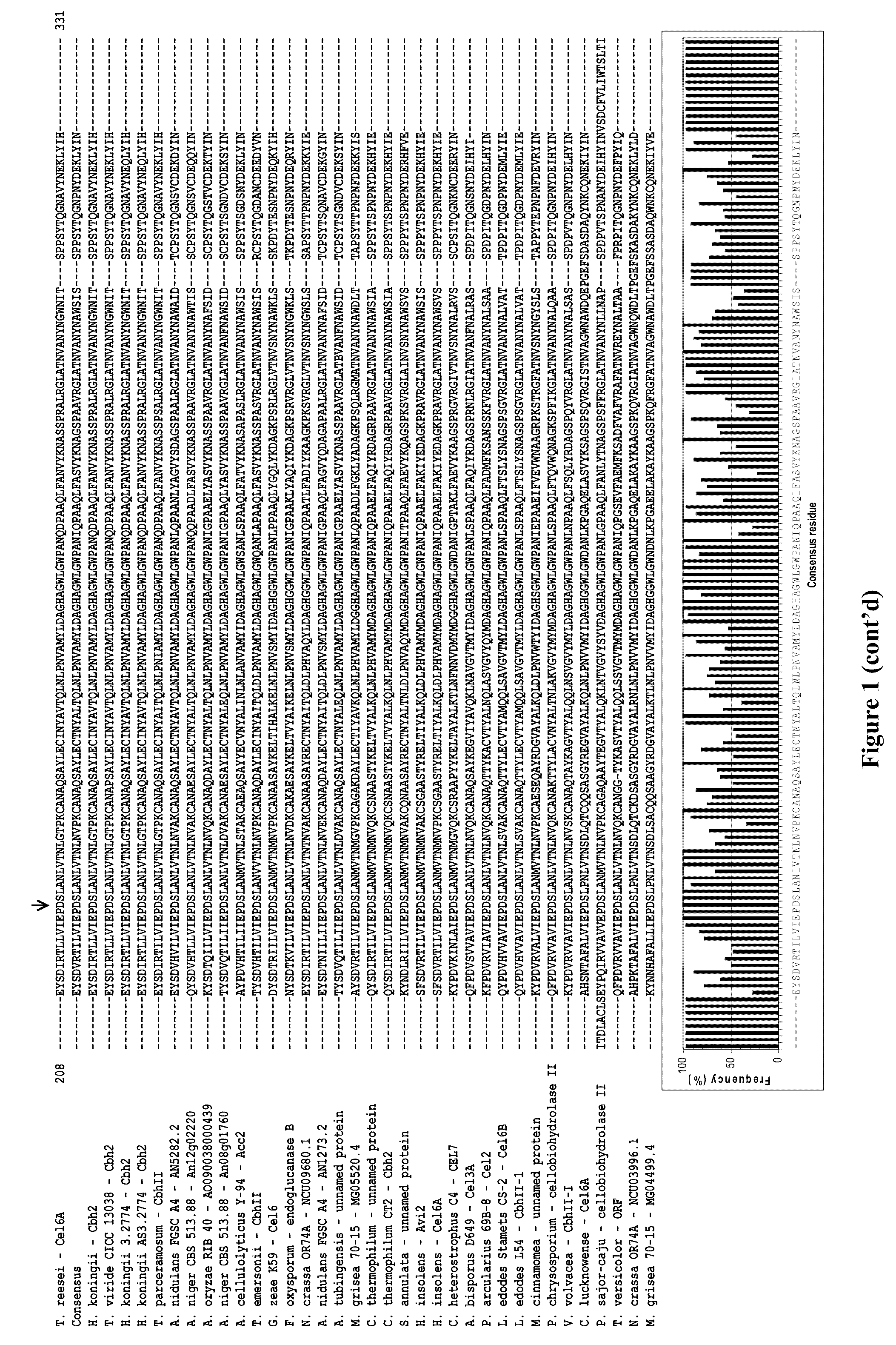 Modified family 6 glycosidases with altered substrate specificity