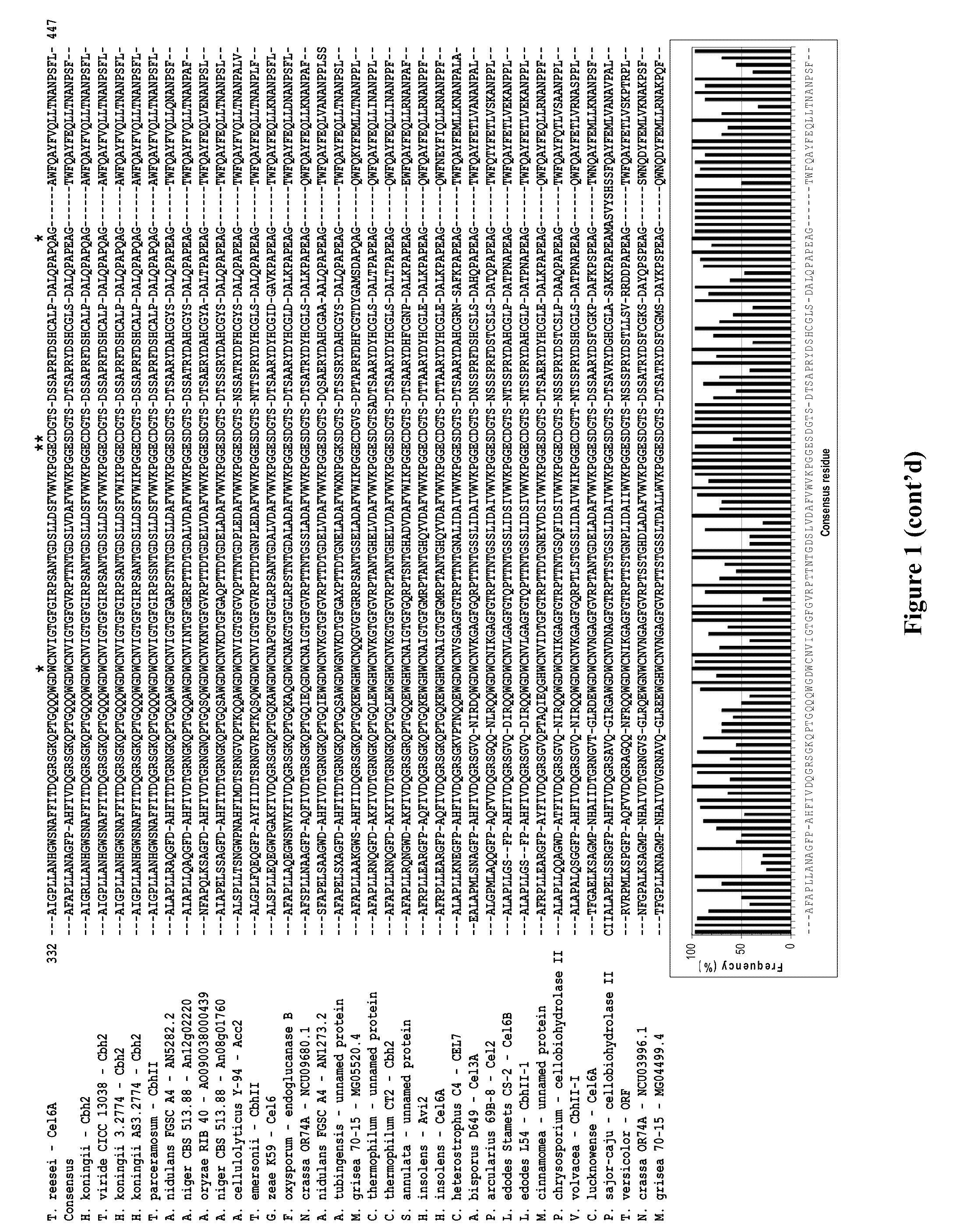 Modified family 6 glycosidases with altered substrate specificity