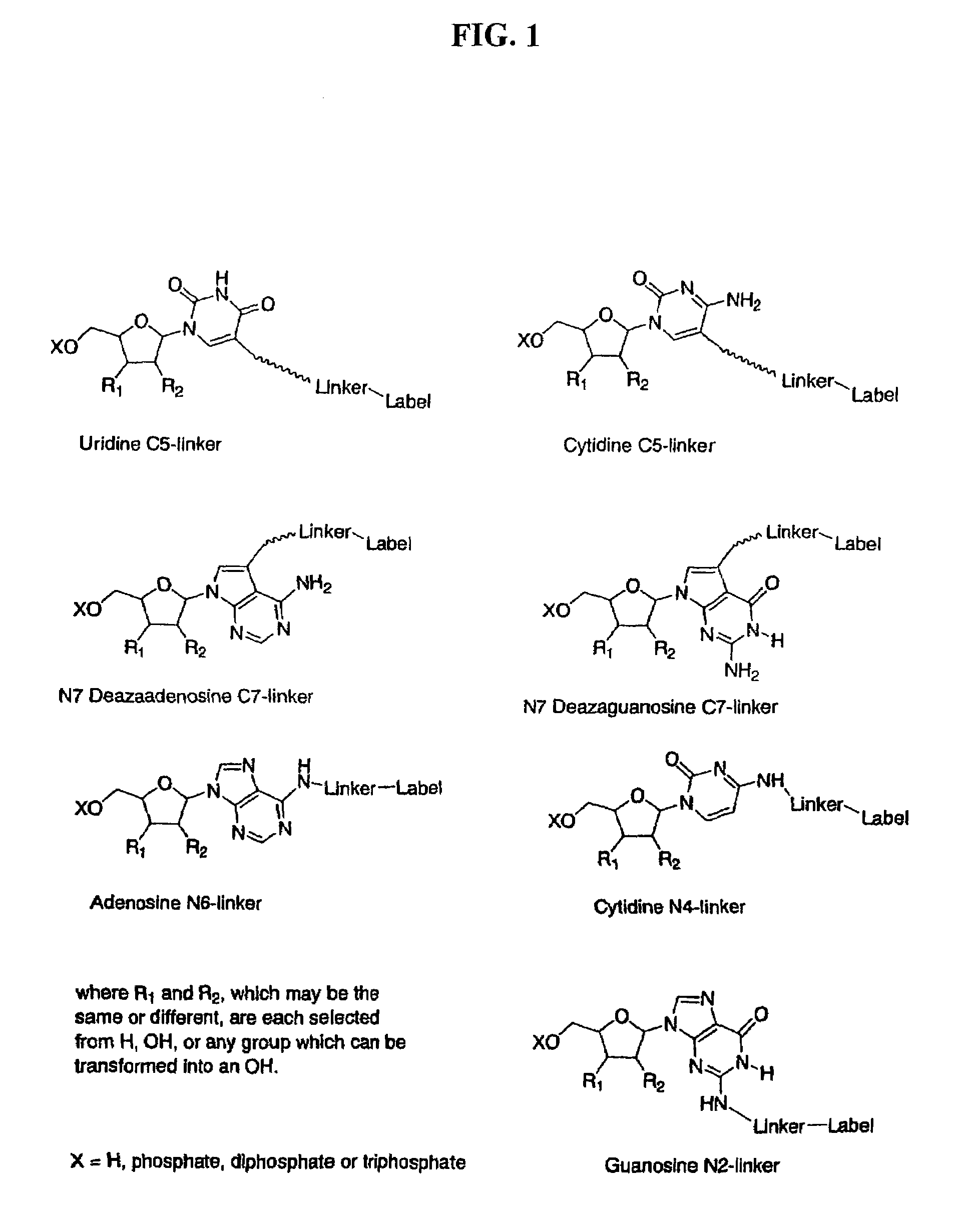 Labelled nucleotides