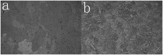 Method for preparing color metallographic samples of al-mg series and al-mg-si series aluminum alloys