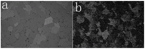 Method for preparing color metallographic samples of al-mg series and al-mg-si series aluminum alloys