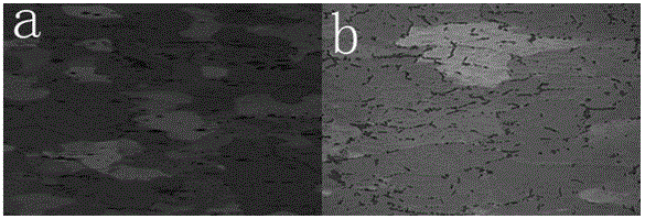 Method for preparing color metallographic samples of al-mg series and al-mg-si series aluminum alloys