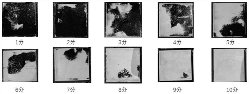 Synthetic stain composition as well as preparation method and application thereof