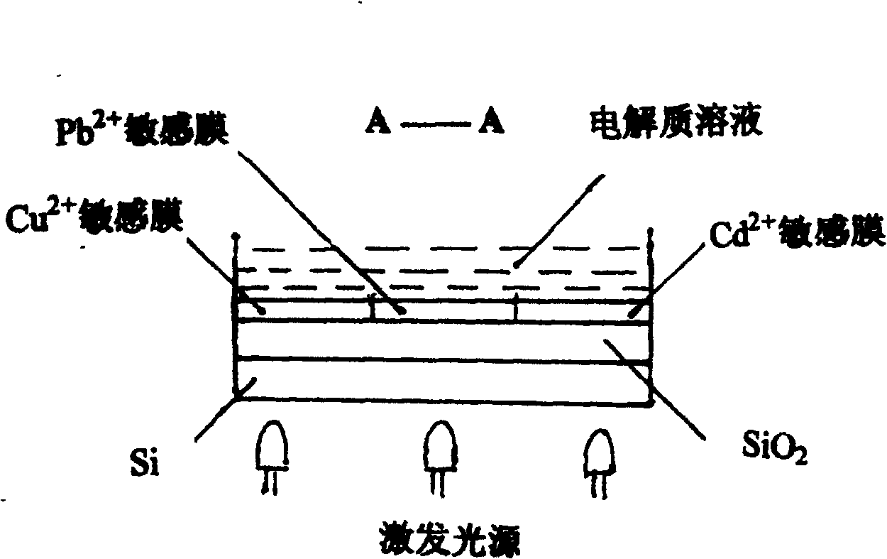 Array filmsensor for simultaneously detecting Cu2+, Pb2+, Cd2+ and its preparing method