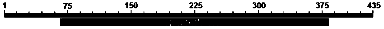 A Botrytis cinerea gene bcfch1 related to pathogenicity and its application