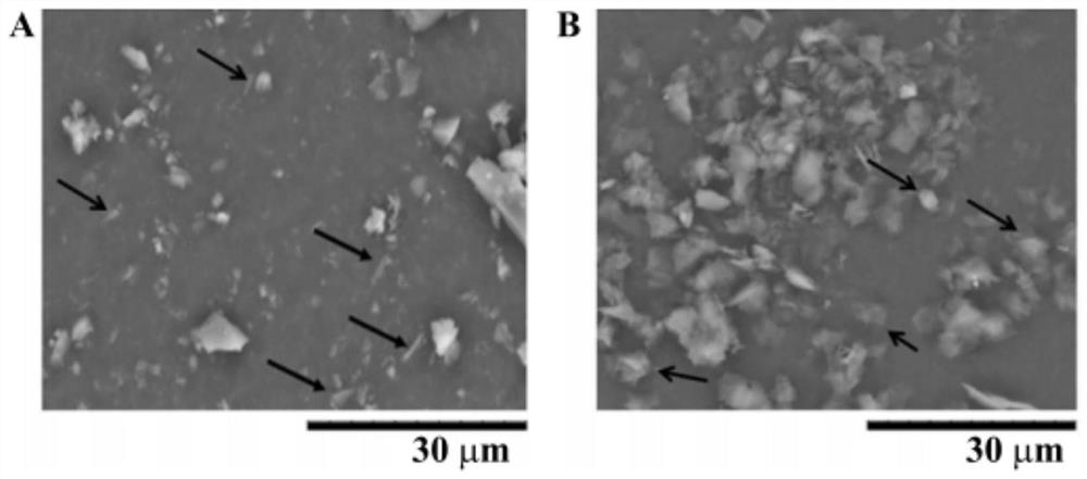 Preparation method of ellagic acid microsphere and pomegranate leaf weight-losing black tea