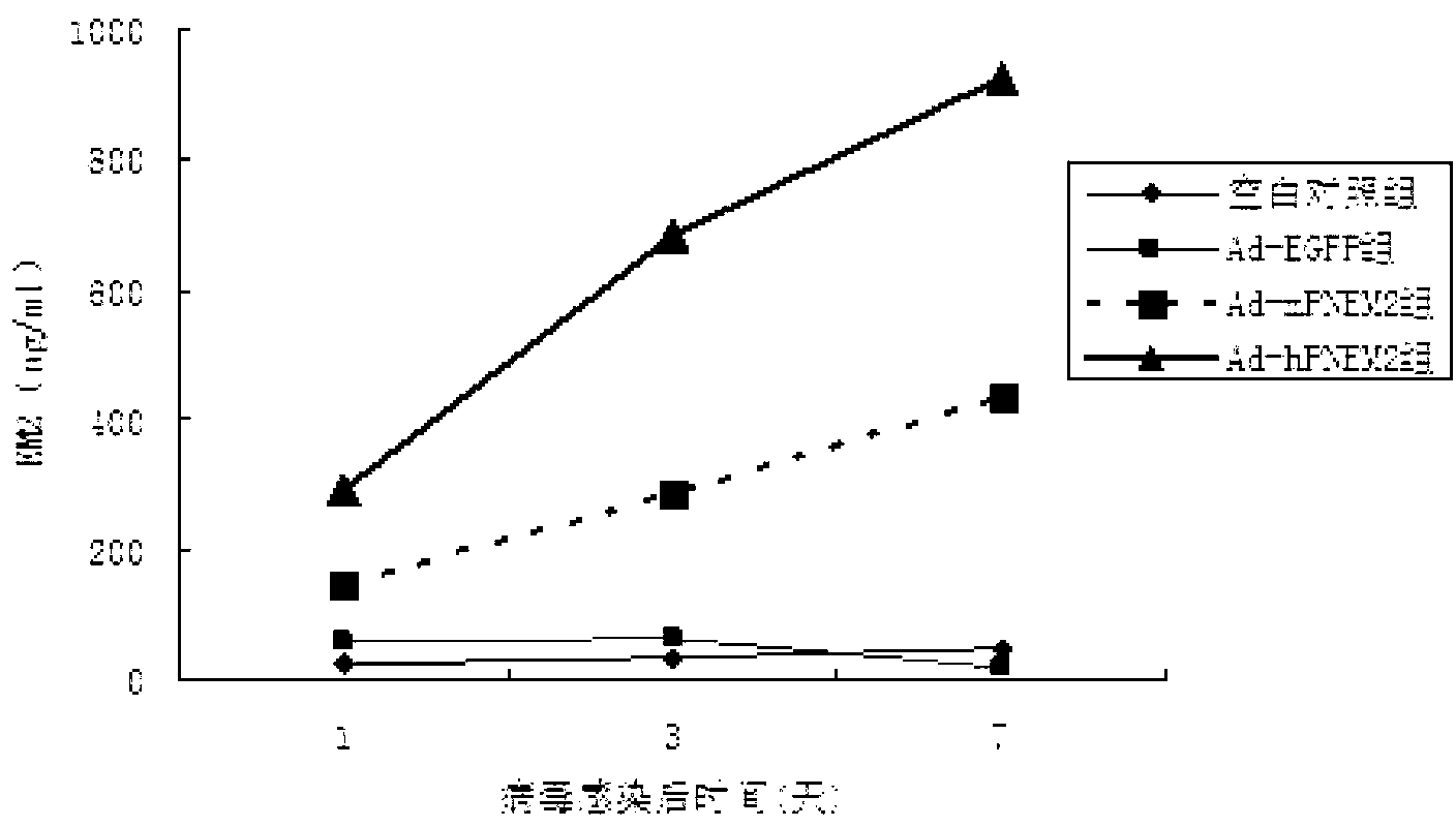 Method for producing endomorphin 2 via high-efficiency expression, and application for same