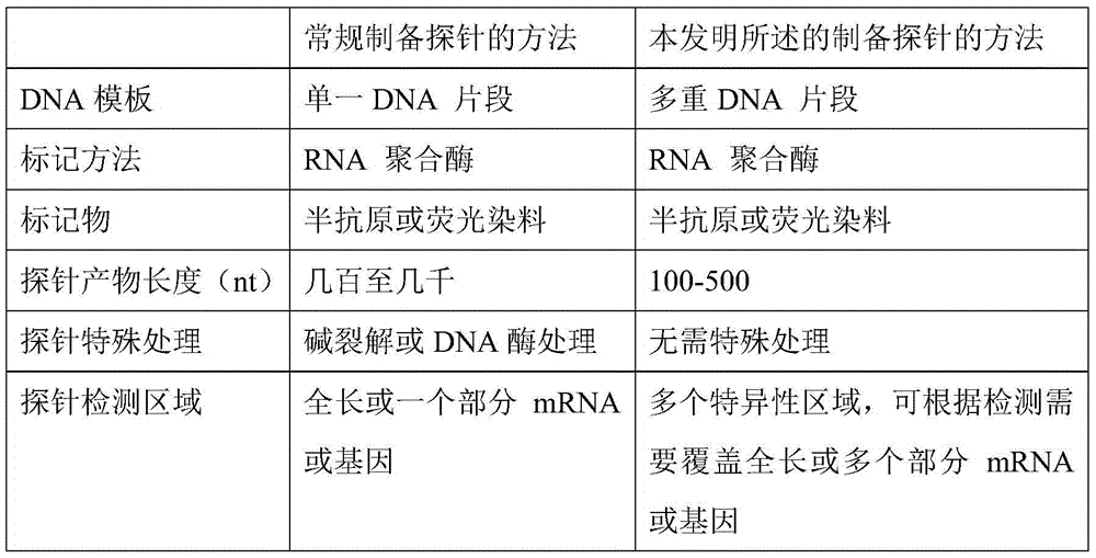Method for preparing RNA probe by template of miR-196a precursor