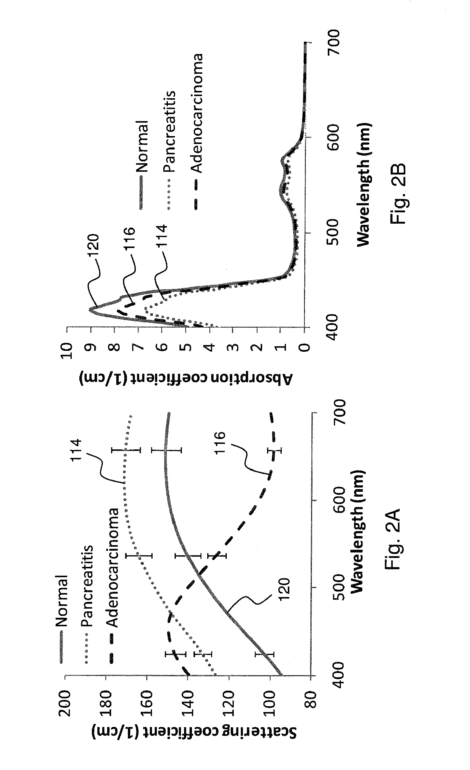 Multimodal spectroscopic systems and methods for classifying biological tissue
