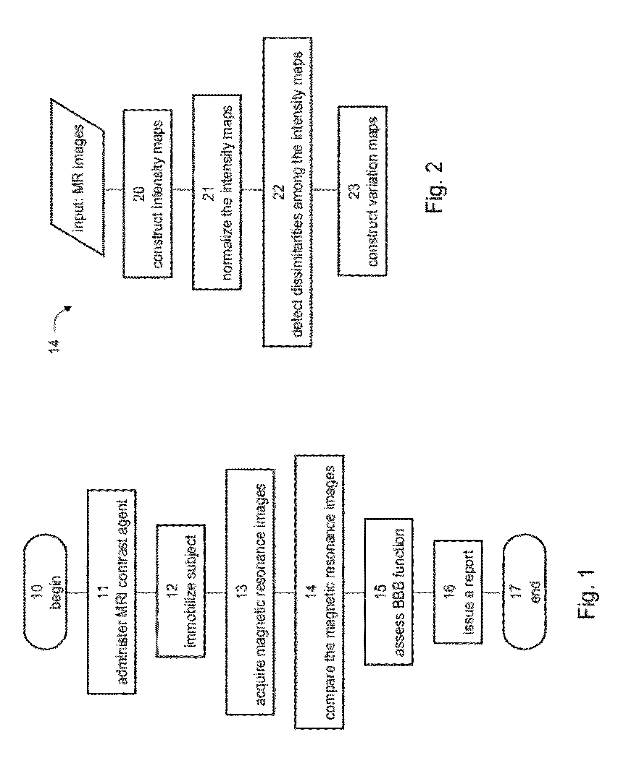 Assessment of blood-brain barrier disruption