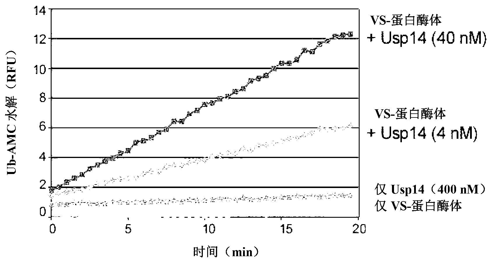 Compositions and methods for enhancing proteasome activity