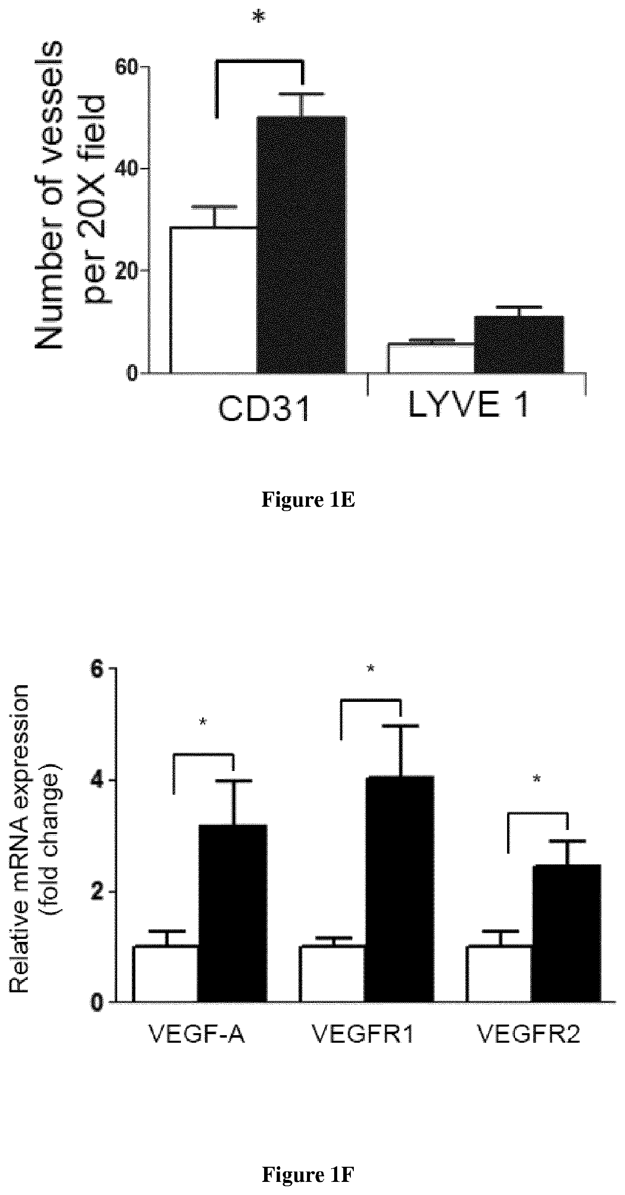 Methods for the treatment of tissue lesions with CCR2 agonists