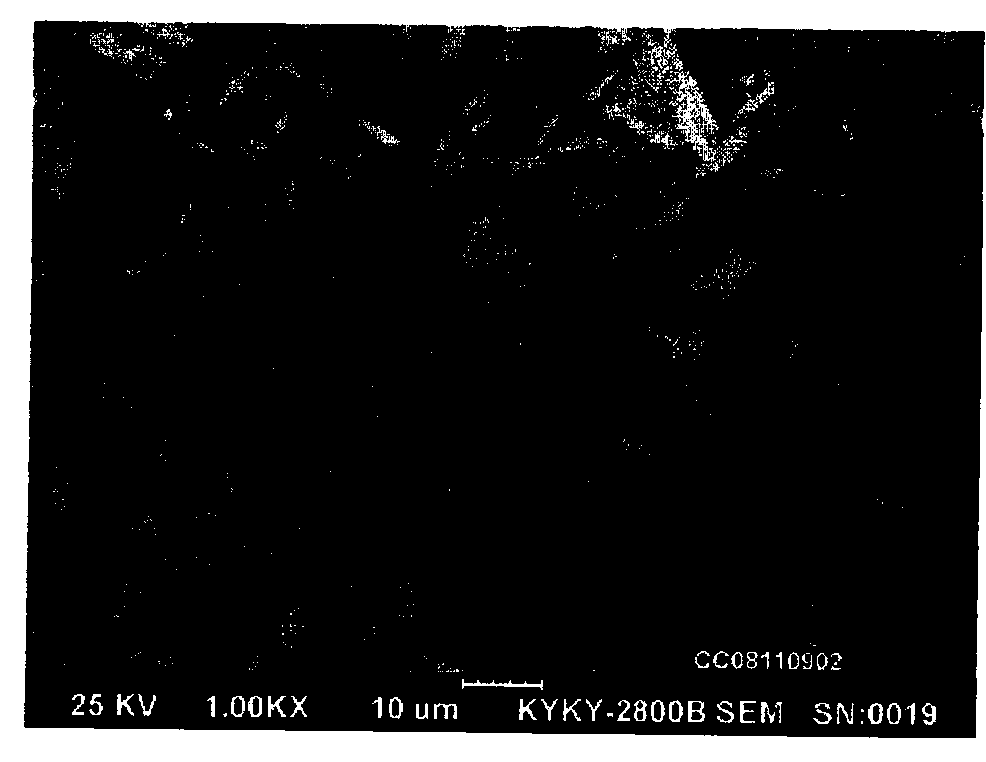 Spherical cobalt oxalate powder and production method thereof