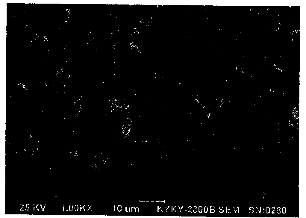 Spherical cobalt oxalate powder and production method thereof