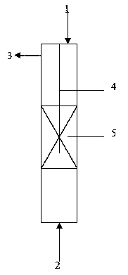 Method for preparing p-tert-butylphenol by using MTBE as raw material