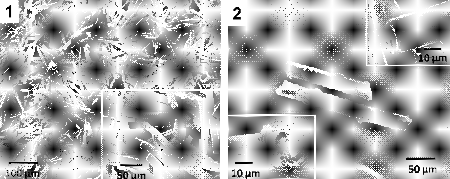 Pesticide microcapsule and preparation method thereof