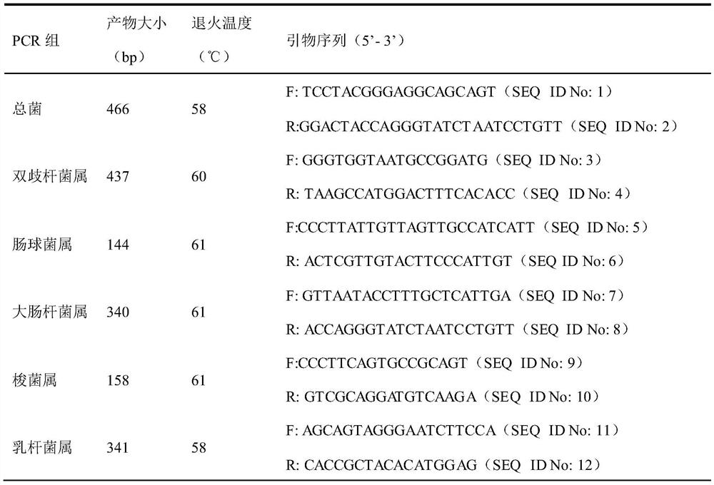 Lactobacillus paracasei and application thereof