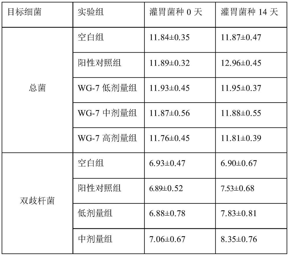 Lactobacillus paracasei and application thereof