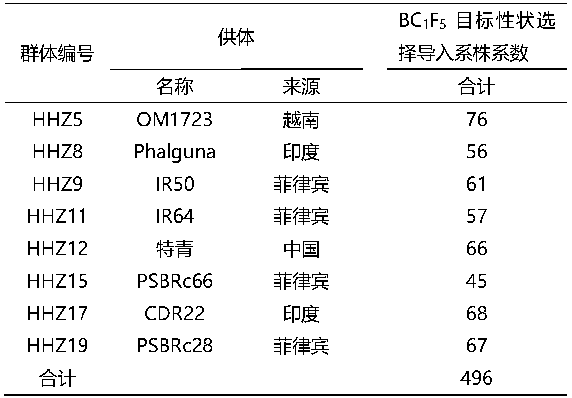 A method for rapid and fine mapping of rice genes