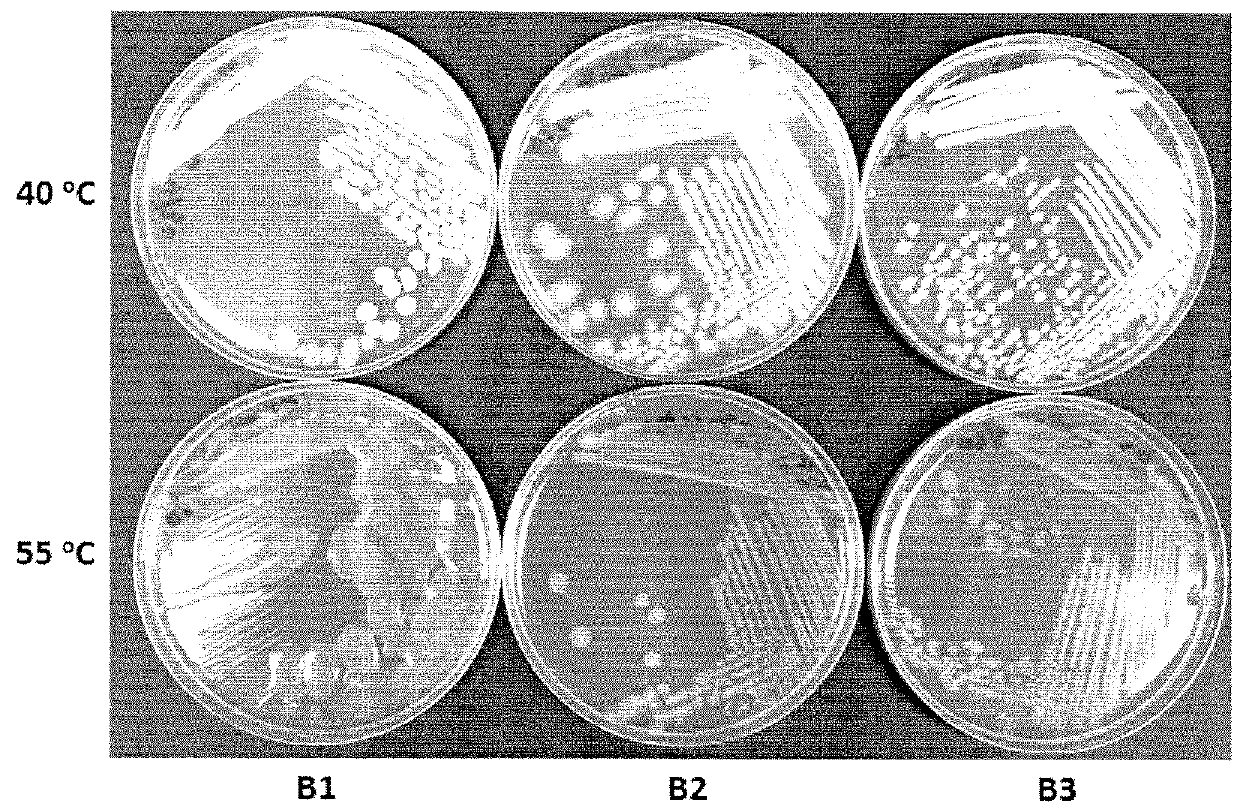 Enhanced microbial production of biosurfactants and other products, and uses thereof