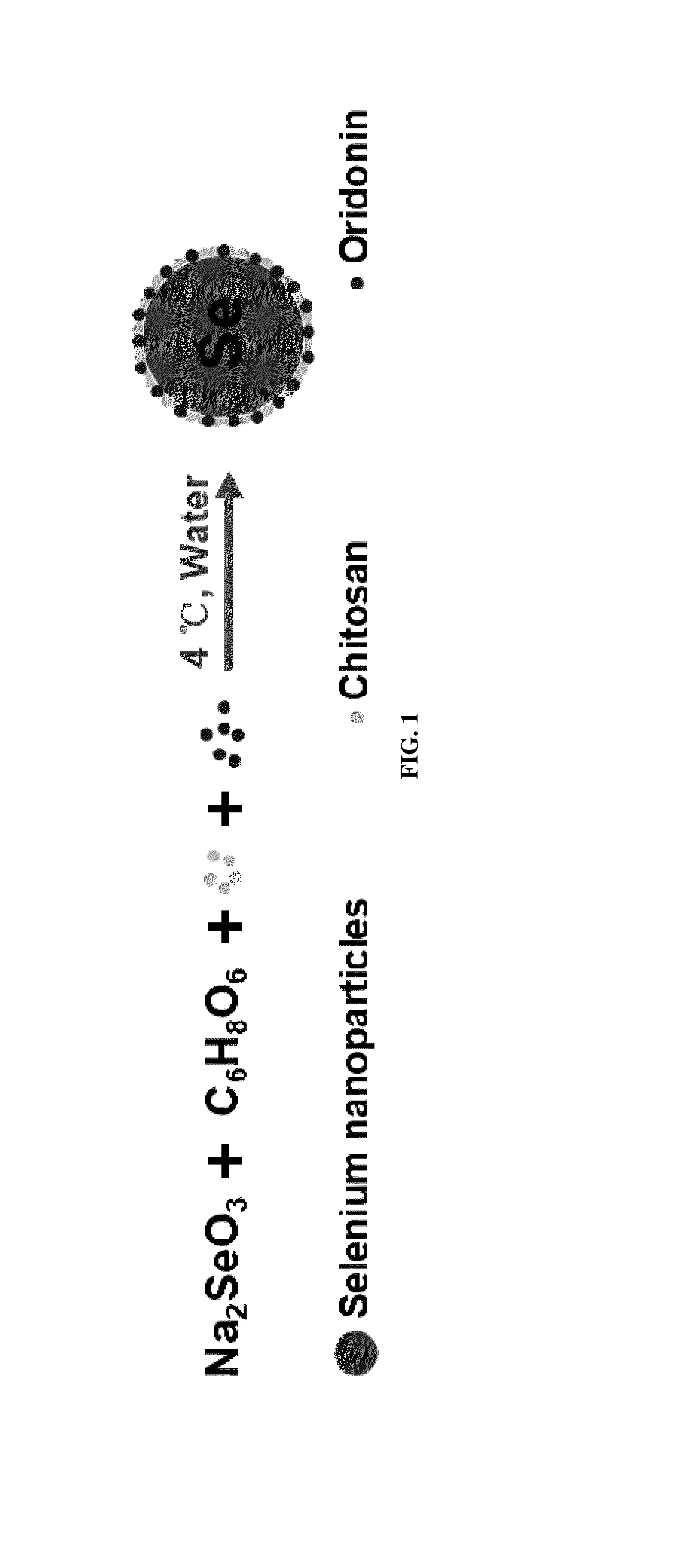 Oridonin functionalized selenium nanoparticles and method of preparation thereof