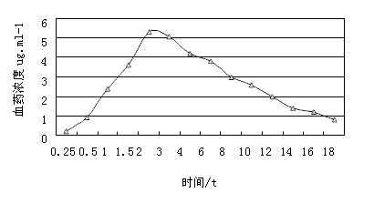 Compound florfenicol composition and preparation process and application thereof